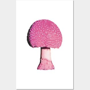Pink Mushroom Amanita Posters and Art